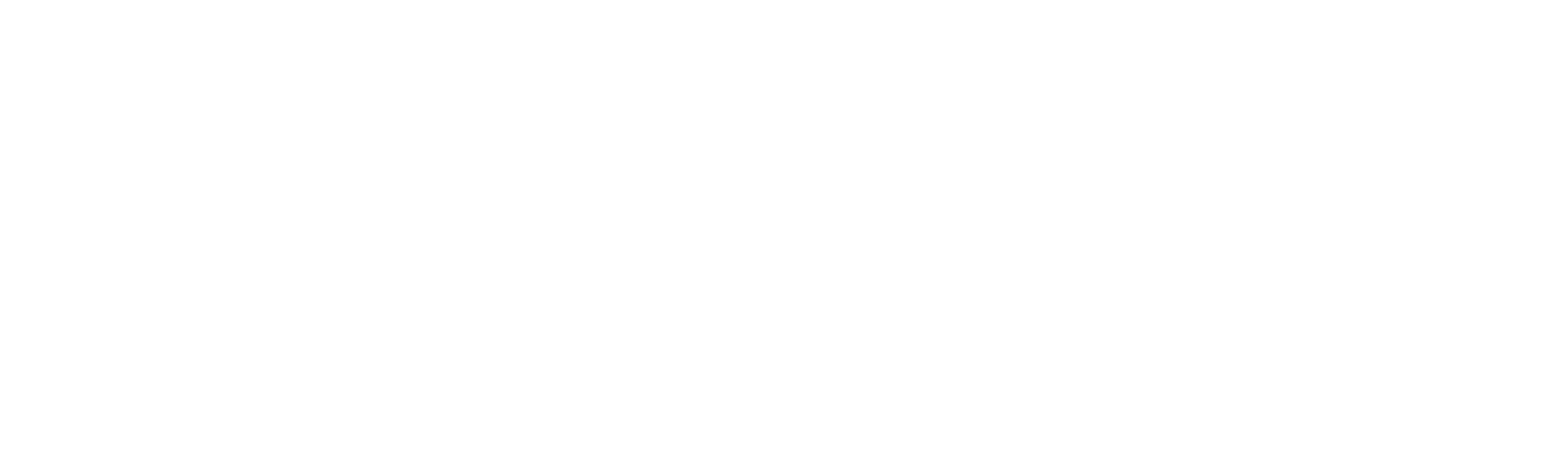Ace Plus