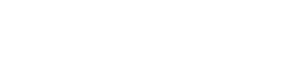 Protek